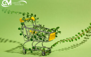le-scelte-di-acquisto-dei-consumatori-ricadono-sui-prodotti-green-gm-ambiente